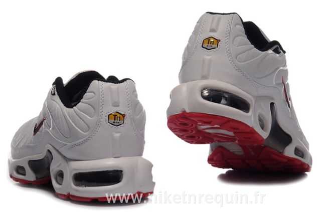 tn requin nike white 2010 03.JPG